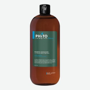 Шампунь-детокс для очищения волос и восстановления баланса кожи головы Phitocomplex Detox Shampoo: Шампунь 1000мл