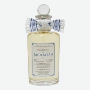 Savoy Steam Eau De Parfum: парфюмерная вода 100мл уценка