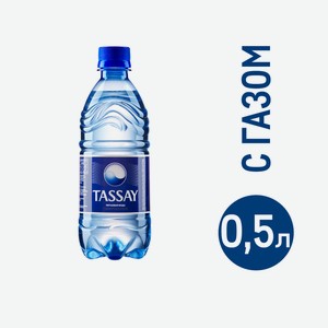 Вода Tassay питьевая газированная, 500мл