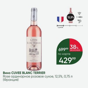 Вино CUVEE BLANC TERRIER Rose ординарное розовое сухое, 12,5%, 0,75 л (Франция)