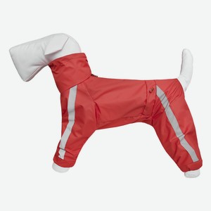 Tappi одежда дождевик для собак  Басенджи  без подкладки, с воротником-капюшоном, девочка  Красный  (L)