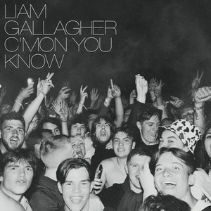 Виниловая Пластинка Gallagher, Liam, C’Mon You Know (0190296396861)