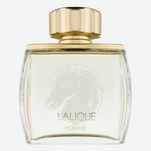 Pour Homme Equus: парфюмерная вода 75мл уценка