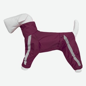 Tappi одежда дождевик для собак  Басенджи  без подкладки, с воротником-капюшоном, мальчик  Винный  (L)