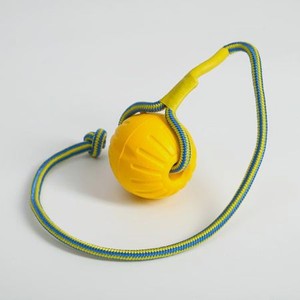 Игрушка для собак Пижон Мяч на верёвке для дрессировки 7 см жёлтый