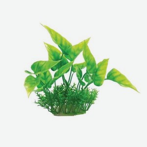 Аквариумное растение Rabizy кустик 8х12 см