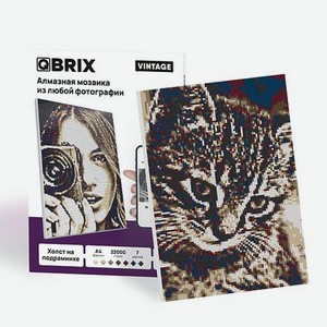 QBRIX Алмазная фото-мозаика на подрамнике VINTAGE А4, сборка картины по своей фотографии