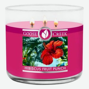 Ароматическая свеча Hibiscus Fruit Punch (Фруктовый пунш из гибискуса): свеча 411г