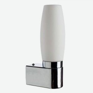 Светильник для влажных помещений Arte lamp A1209AP-1CC