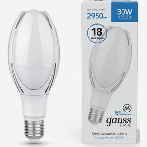 Лампа LED GAUSS E40, цилиндр, 30Вт, белый холодный, 11834332, одна шт.