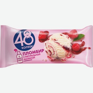 БЗМЖ Мороженое 48 копеек малина брикет флоу-пак 221г