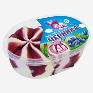Мороженое ванильное «Время Летать» с черничным наполнителем ЗМЖ, 450 г
