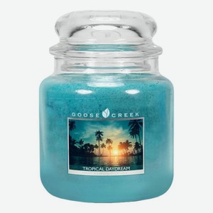 Ароматическая свеча Tropical Daydream (Тропические мечты): свеча 454г