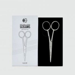 Ножницы для бровей классические LUCAS  COSMETICS Professional Eyebrow Scissors 1 шт