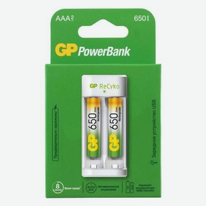 Зарядное устройство GP PowerBank GP E21165AAAHC-2CRB2, 2600мAч