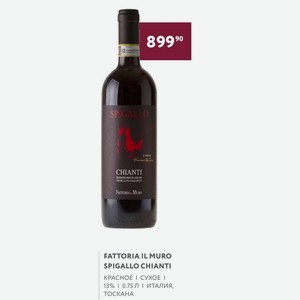 Вино Fattoria Il Muro Spigallo Chianti Красное Сухое 13% 0.75 Л Италия, Тоскана