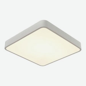 Настенно-потолочный светильник Arte lamp Scena A2663PL-1WH