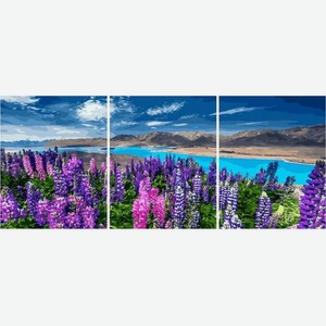 Картина по номерам 40х50 см Уровень 4 триптих Красочные цветы люпина на озере Текапо РХ5286