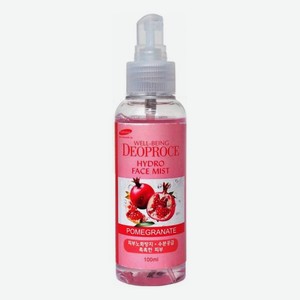 Мист для лица увлажняющий Well-Being Hydro Face Mist Pomegranate 100мл