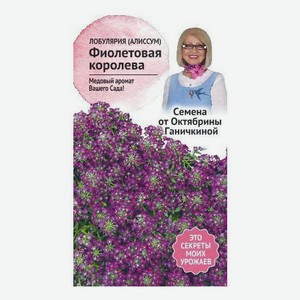 Семена Семена от Октябрины Ганичкиной Алиссум Фиолетовая королева 0,1 г