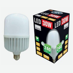 Светодиодная лампа REV E27 30 Вт Т100 6500К