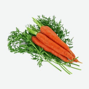 Морковь свежая молодая весовая