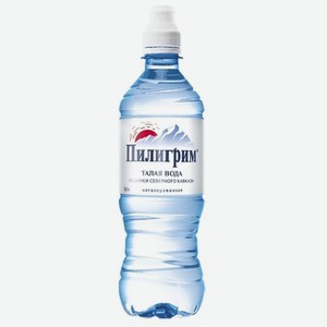 Вода минеральная Пилигрим негазированная, 500 мл, пластиковая бутылка