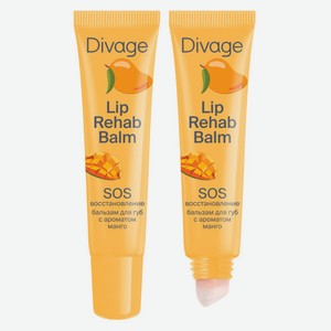 Lip Rehab Balm Восстанавливающий бальзам для губ SOS-восстановление в ассортименте манго