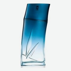 Homme Eau de Parfum: парфюмерная вода 100мл уценка