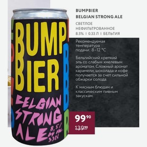 Пиво Bumpbier Belgian Strong Ale Светлое Нефильтрованное 8.5% 0.33 Л Бельгия
