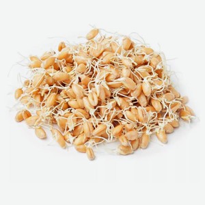 Проростки семян пшеницы, 150 г