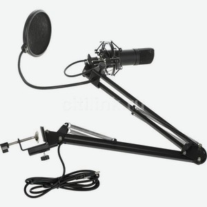 Микрофон Ritmix RDM-180, черный [80000153]
