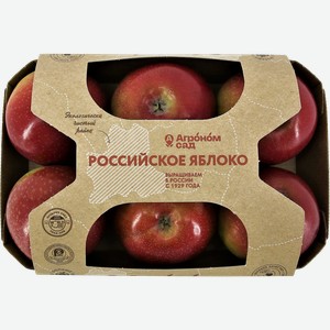 Яблоко калибр 70+ Агроном сад сорт амброзия к/у, 6 шт