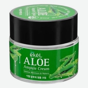 Ампульный крем для лица с экстрактом алоэ вера Aloe Ampule Cream 70мл