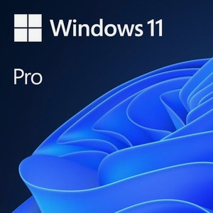 Операционная система Microsoft Windows 11 Pro for Workstations 64-bit Russian (HZV-00120)