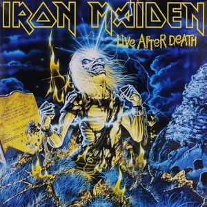 Виниловая пластинка Iron Maiden, Live After Death (Remastered) (0825646248650)