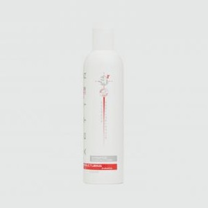 Шампунь восстанавливающий HAIR COMPANY PROFESSIONAL Double Action Shampoo Ricostruttore 250 мл