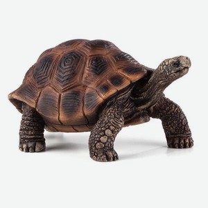 Фигурка 7,5см Моджо черепаха гигантская Моджо Лимитед , 1 шт