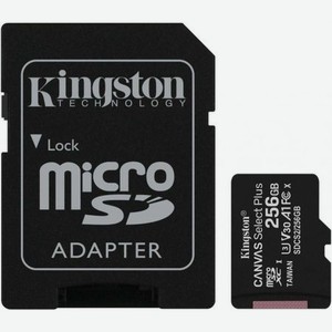Карта памяти Kingston Canvas Select Plus microsdhc 256Gb (SDCS2/256GB)