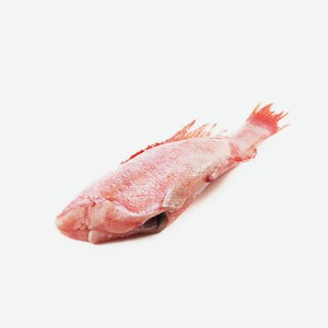 Окунь красный морской потрошеный без головы, ~200-300г Россия