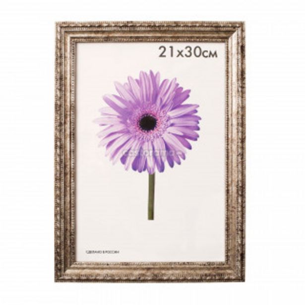 Рамка Metrica Adele Classic, 21 х 30 см, серебристая