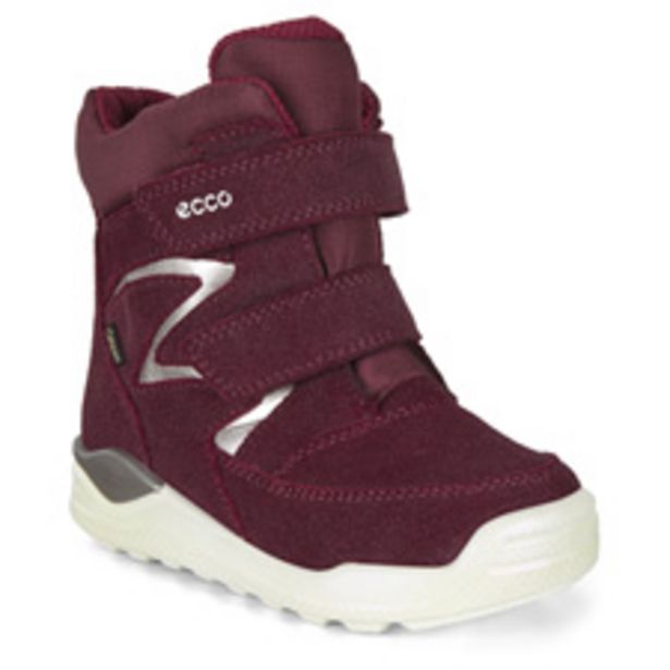 ecco urban mini