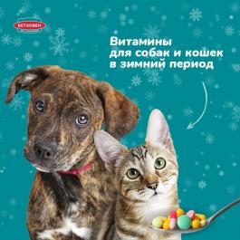 Акция Бетховен Витамины для кошек и собак в зимний период - Действует с 02.02.2022 до 28.02.2022